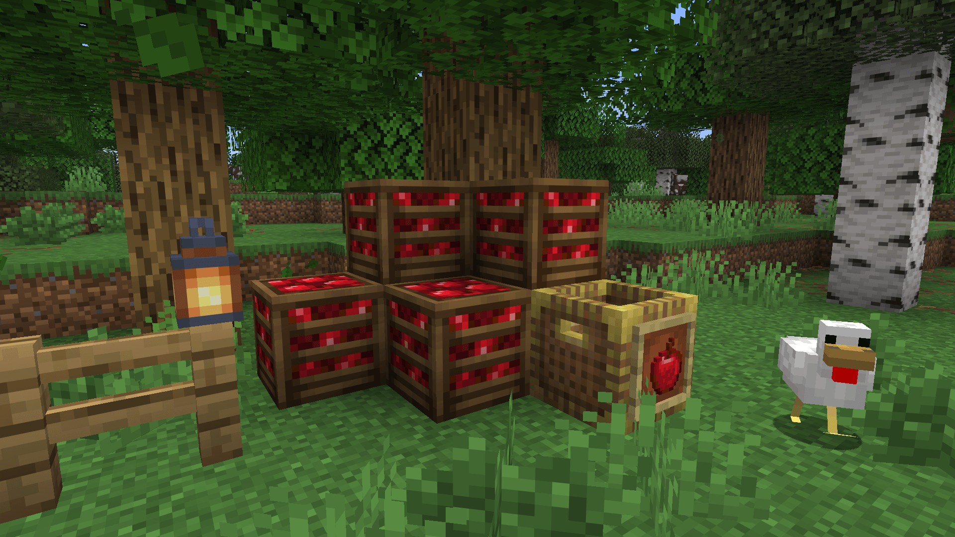 Crate Delight