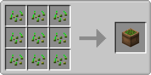 Seed Bags
