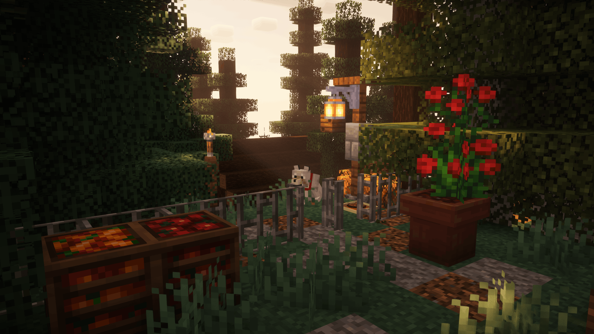 Farming Experience